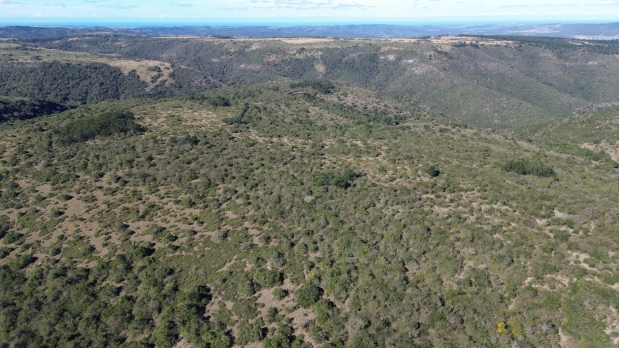 Commercial Property for Sale in Komga Eastern Cape